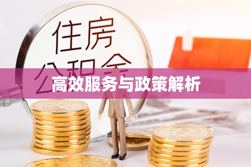 淇县高效服务与政策解析