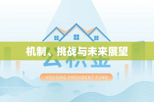 淇县机制、挑战与未来展望